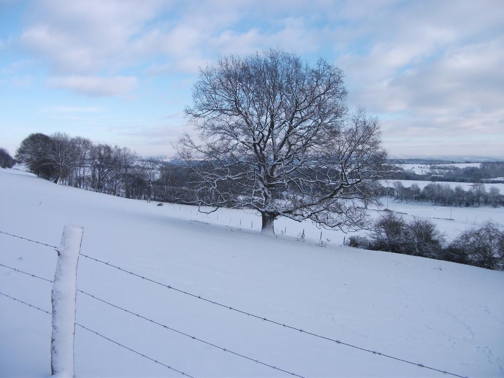 Chambre D'Hotes "L'Etable D'Irene" Bed and Breakfast Houmart Buitenkant foto